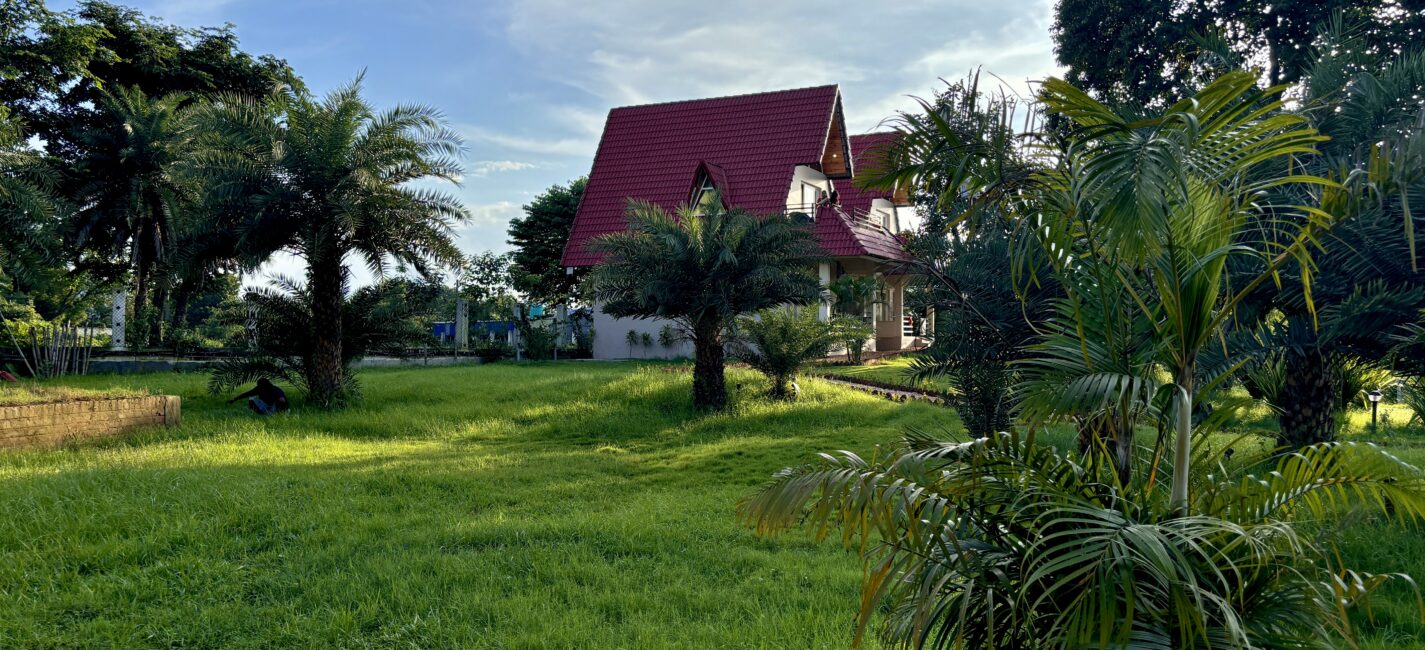 Stay Close to Nature, Beside the Greenery of Kopai